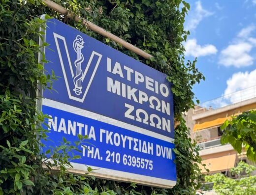 ΙΑΤΡΕΙΟ ΜΙΚΡΩΝ ΖΩΩΝ – ΝΑΝΤΙΑ ΓΚΟΥΤΣΙΔΗ